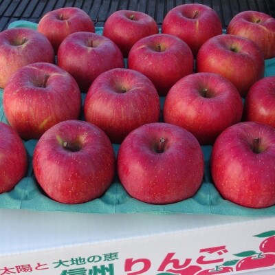令和8年産【特秀品】サンふじ 約3kg(7～12個) 長野県産りんご