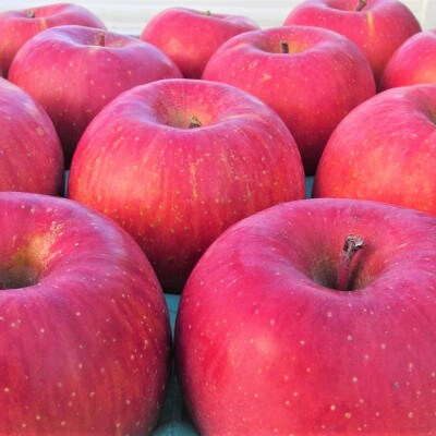 令和8年産【秀品】サンふじ 約5kg(11～20個) 長野県産りんご