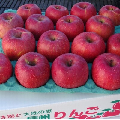 令和8年産【秀品】サンふじ 約3kg(7～12個) 長野県産りんご