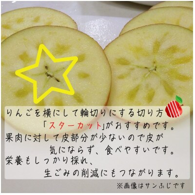 令和8年産【秀品】サンふじ 約3kg(7～12個) 長野県産りんご
