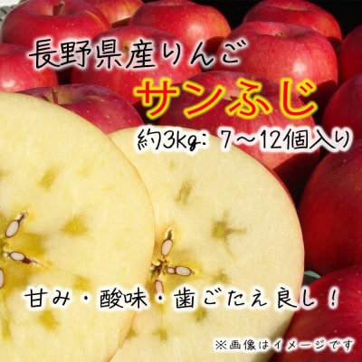 令和8年産【訳あり品】サンふじ 約3kg(7～12個) 長野県産りんご