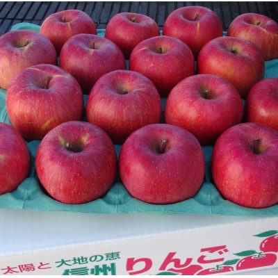 令和8年産【訳あり品】サンふじ 約3kg(7～12個) 長野県産りんご