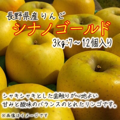 令和8年産【特秀品】シナノゴールド 約3kg(7～12個) 長野県産りんご