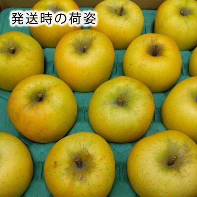 令和8年産【特秀品】シナノゴールド 約3kg(7～12個) 長野県産りんご
