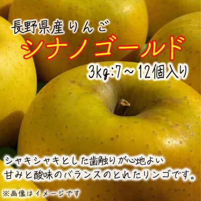 令和8年産【秀品】シナノゴールド 約3kg(7～12個) 長野県産りんご
