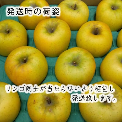 令和8年産【秀品】シナノゴールド 約3kg(7～12個) 長野県産りんご