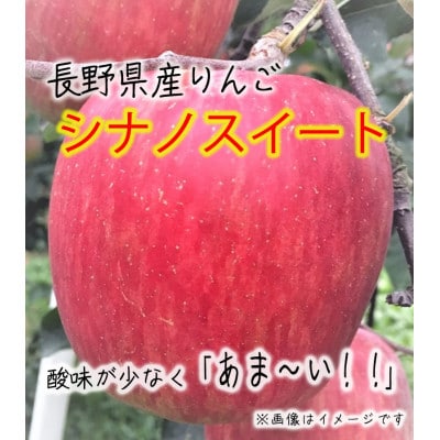 令和8年産【特秀品】シナノスイート 約5kg(11～20個) 長野県産りんご