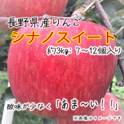 令和8年産【特秀品】シナノスイート 約3kg(7～12個) 長野県産りんご
