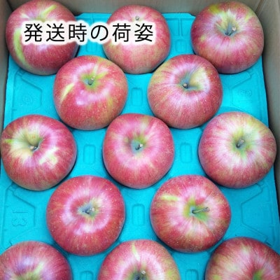 令和8年産【特秀品】シナノスイート 約3kg(7～12個) 長野県産りんご