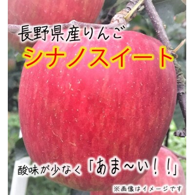 令和8年産【訳あり品】シナノスイート 約5kg(11～20個) 長野県産りんご