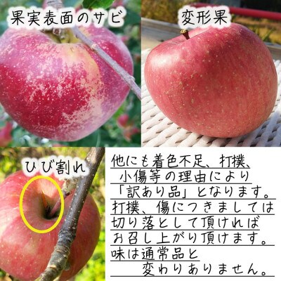 令和8年産【訳あり品】シナノスイート 約3kg(7～12個) 長野県産りんご