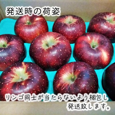 令和8年産【特秀品】秋映 約5kg(11～20個) 長野県産りんご