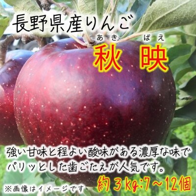 令和8年産【特秀品】秋映 約3kg(7～12個) 長野県産りんご