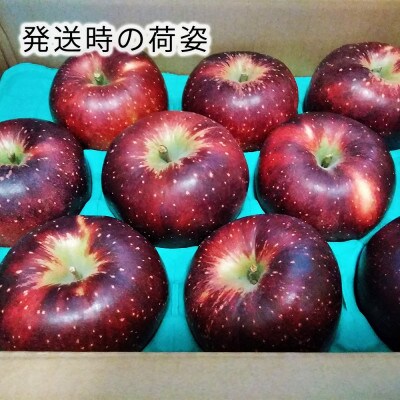 令和8年産【秀品】秋映 約3kg(7～12個) 長野県産りんご