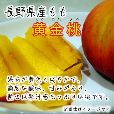 令和8年産 桃 【黄金桃】【訳あり品】約3kg(7～12個) 長野県産