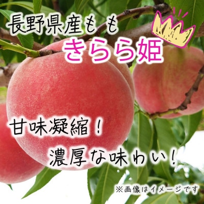 令和8年産 桃 【きらら姫】【秀品】約3kg(7～12個) 長野県産