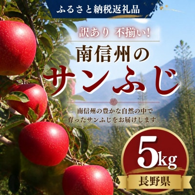 [訳あり]南信州産 サンふじ サイズ不揃い 5kg[ご家庭用バラ詰め]