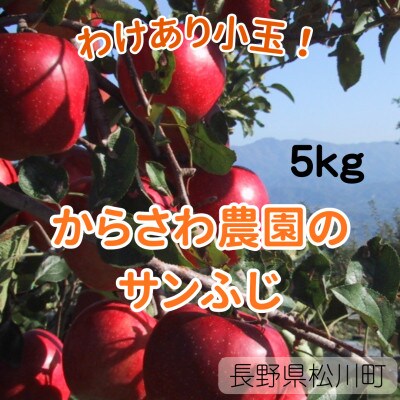 【訳あり】長野県松川町産 サンふじ 小玉 5kg【ご家庭用】