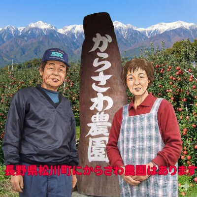【訳あり】長野県松川町産 サンふじ 小玉 5kg【ご家庭用】
