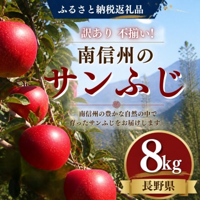 【訳あり】南信州産 サンふじ サイズ不揃い 8kg【ご家庭用バラ詰め】