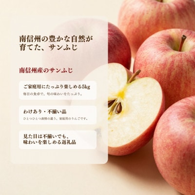 【訳あり】南信州産 サンふじ サイズ不揃い 8kg【ご家庭用バラ詰め】
