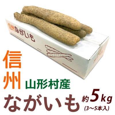 信州山形村産「長いも」5kg