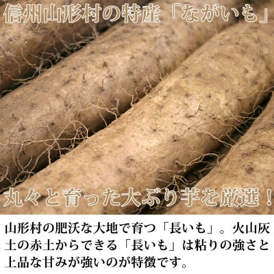 信州山形村産「長いも」5kg