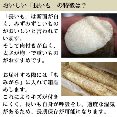 信州山形村産「長いも」5kg