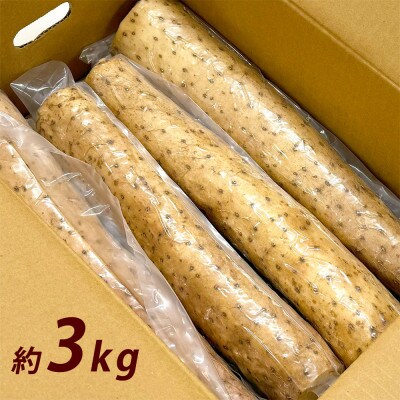 長いも 洗っちゃいました! 信州山形村産 洗い長いも 3kg入り