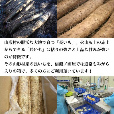 長いも 洗っちゃいました! 信州山形村産 洗い長いも 3kg入り