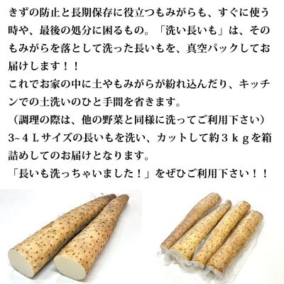 長いも 洗っちゃいました! 信州山形村産 洗い長いも 3kg入り