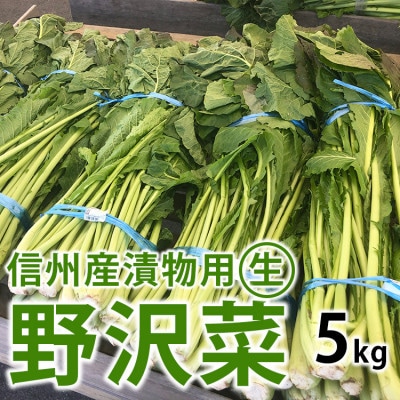 信州産 漬物用生の野沢菜 約5kg