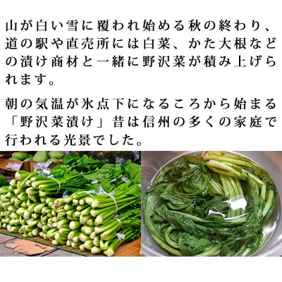 信州産 漬物用生の野沢菜 約5kg