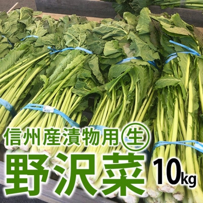 信州産 漬物用生の野沢菜 約10kg