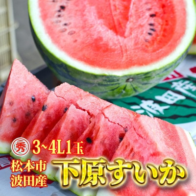 信州松本波田産下原すいか 3～4L 1玉
