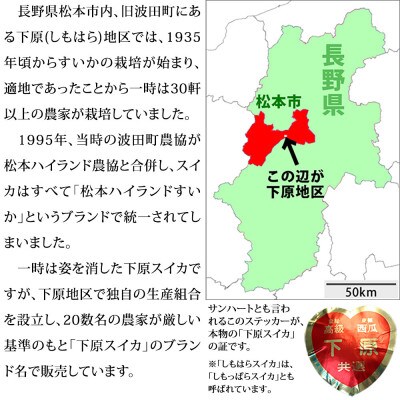 信州松本波田産下原すいか 3～4L 1玉