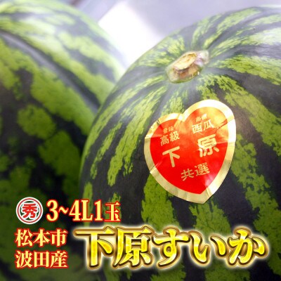 信州松本波田産下原すいか 3～4L 1玉