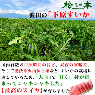 信州松本波田産下原すいか 2L 1玉
