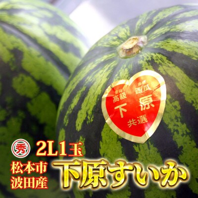 信州松本波田産下原すいか 2L 1玉