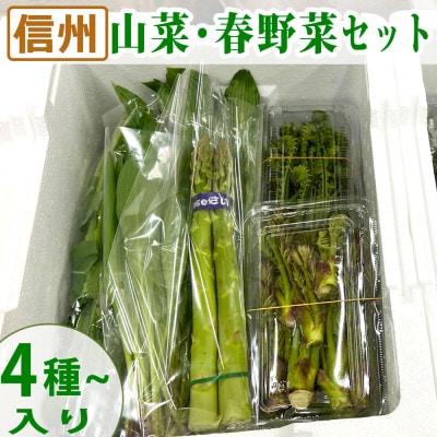 信州の山菜と春野菜セット 計4種類以上入り(300g～1kg程度)