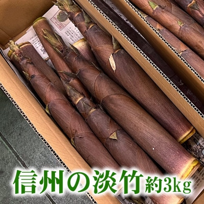 信州の淡竹(ハチク) 約3kg