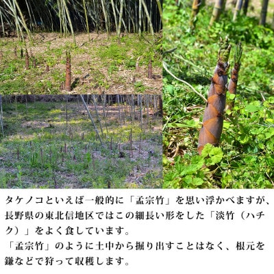 信州の淡竹(ハチク) 約3kg