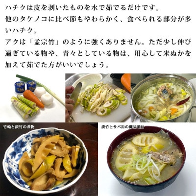 信州の淡竹(ハチク) 約3kg