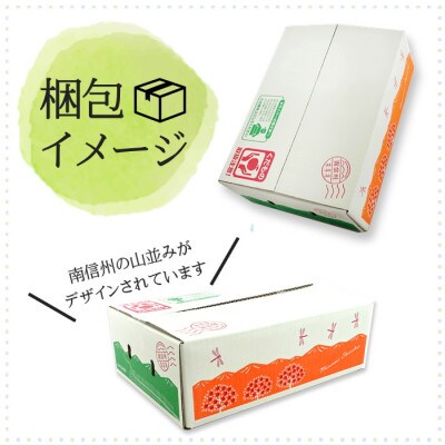 【信州産】豊水梨　秀品　約2.5kg(6～8玉入り)　9月中旬から順次発送