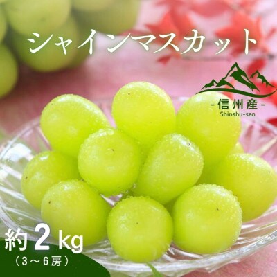【信州産】　シャインマスカット　秀品　約2kg(3～6房入り)　9月中旬から順次発送