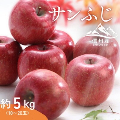 【信州産】サンふじ　秀品　約5kg(10～20玉入り)　11月下旬から順次発送