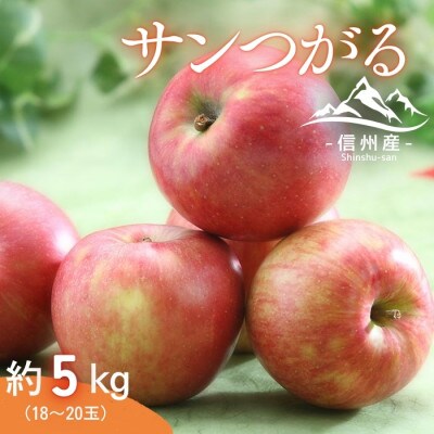 【信州産】サンつがる　秀品　約5kg(18～20玉入り)　9月上旬から順次発送