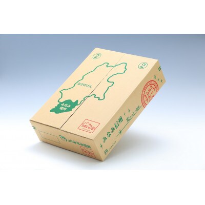 【信州産】サンつがる　秀品　約5kg(18～20玉入り)　9月上旬から順次発送