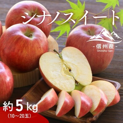 【信州産】シナノスイート　秀品　約5kg(10～20玉入り)　10月中旬から順次発送