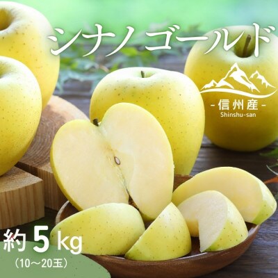 【信州産】シナノゴールド　秀品　約5kg(10～20玉入り)　10月下旬から順次発送